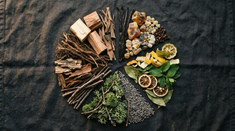Fragrance family wheel showing woody, oriental, fresh, and fougere categories