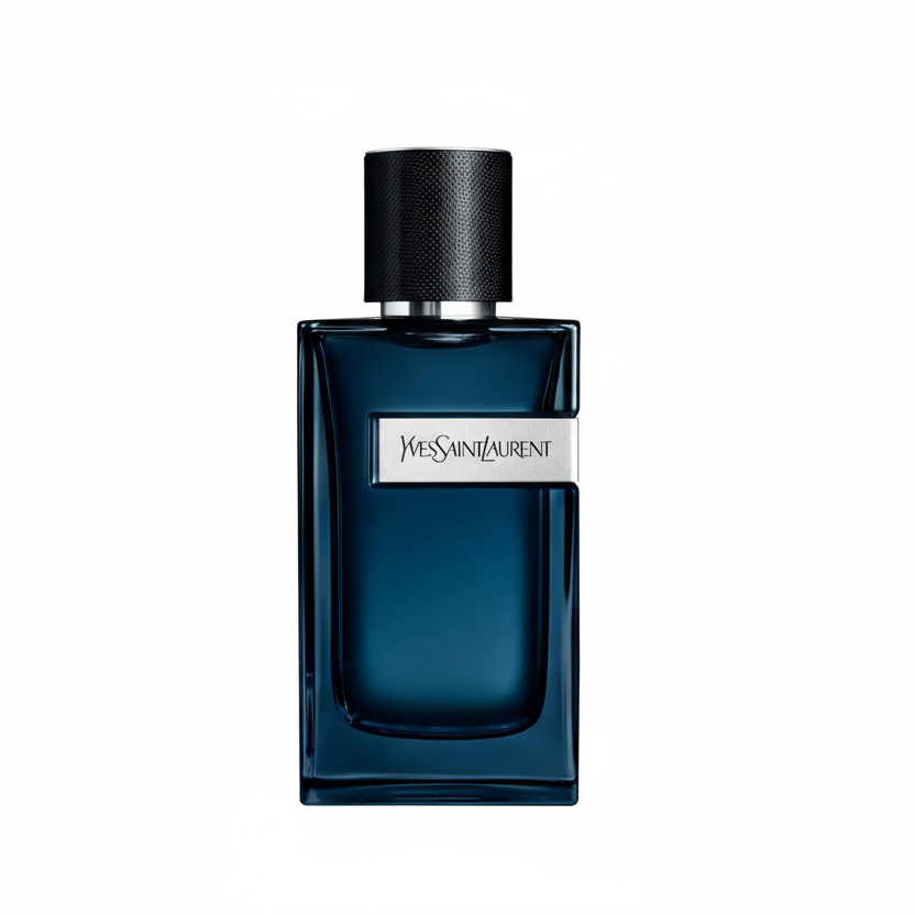YSL Y Intense